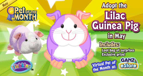 Webkinz pet of the month july 2019